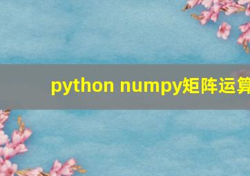 python numpy矩阵运算